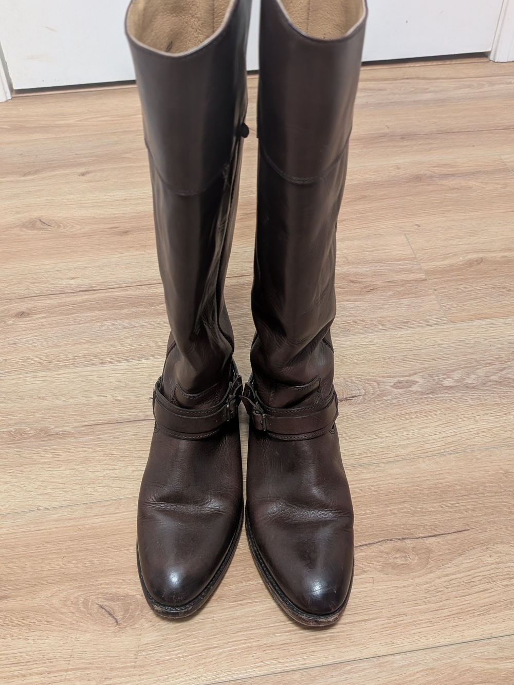 FRYE Lindsay Plate Dark Brown Leather Tall Harness Riding Boots Size 8 B 76985